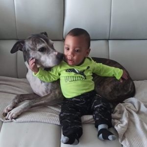 Meet your Posher, Timothy